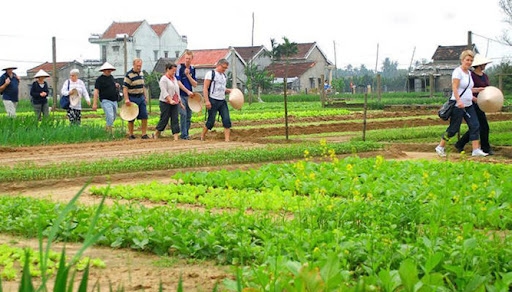 TRADITIONAL HANDICRAFT VILLAGES IN 1 TOUR (Thanh Ha Pottery - Kim Bong Carpentry - Tra Que Vegetable Villages)