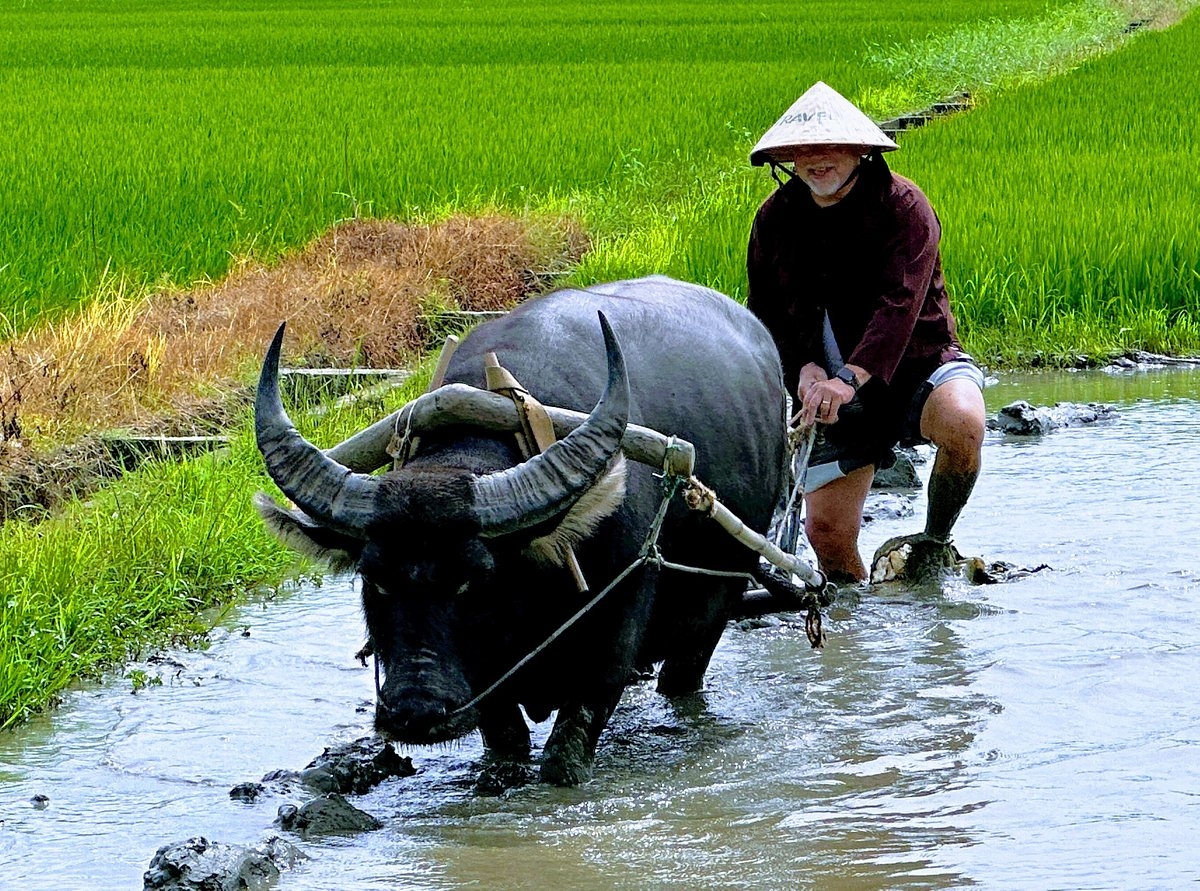 FARMING & FISHING LIFE BY BIKE